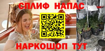 прущие грибы Нягань